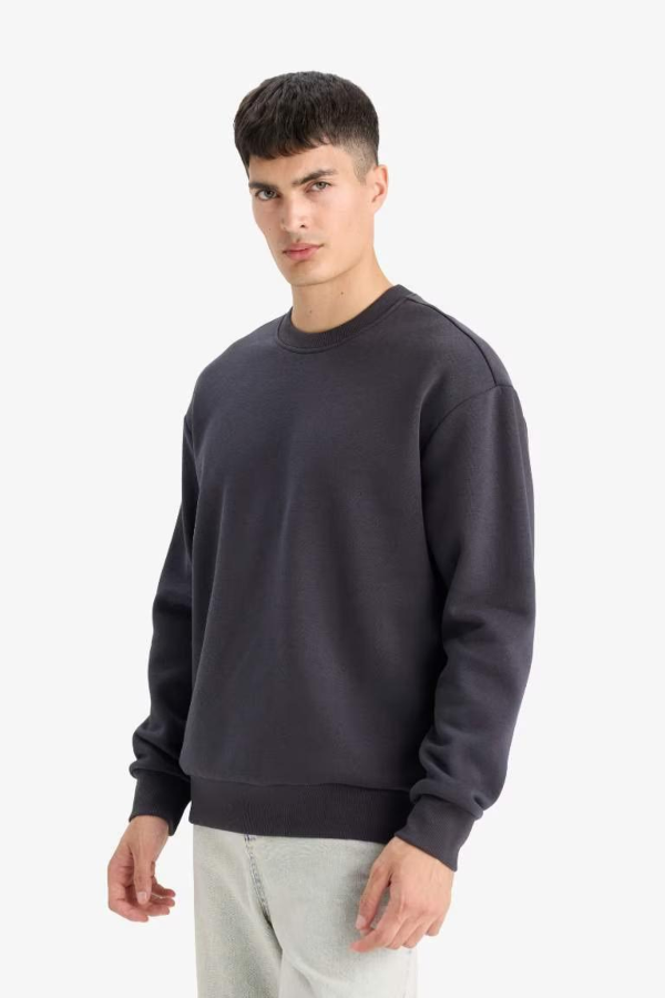 Resim Defacto Erkek  Sweat T5139AZ/AR138