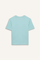 Resim Defacto Erkek Çocuk Kısa Kol T-shirt E0098A8/TR203