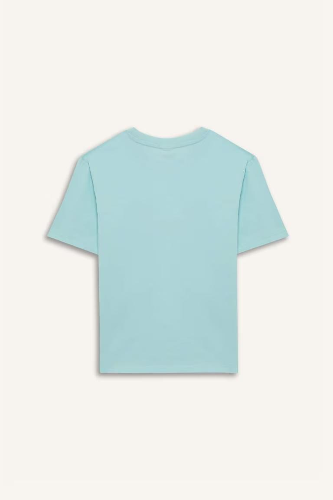 Resim Defacto Erkek Çocuk Kısa Kol T-shirt E0098A8TR203
