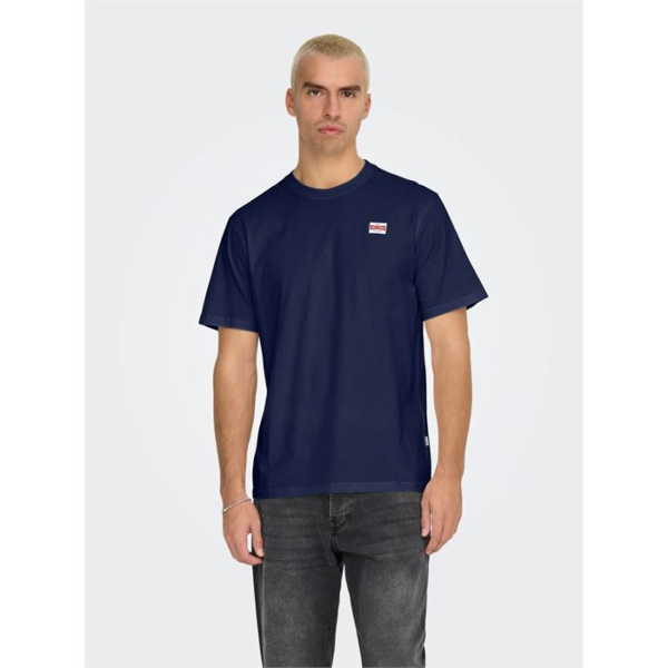 Resim Only & Sons Onsdawson Reg Ss Tee Vd Erkek  T-shirt 22033190