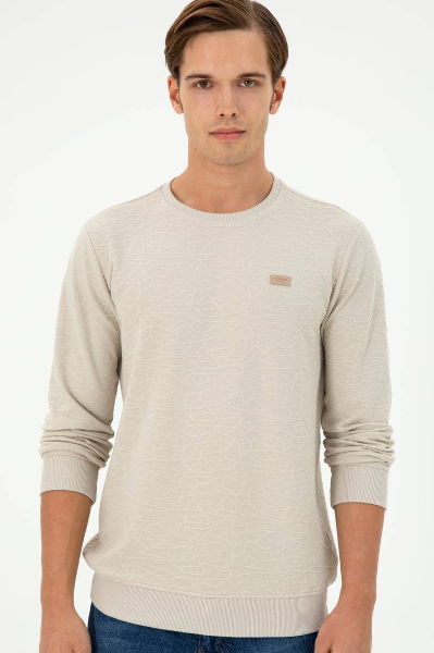 Resim 1945735 Burnaby U.S Polo Assn. Erkek Sweat