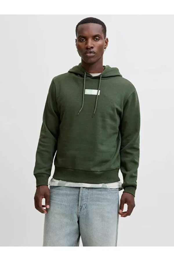 Resim Jack & Jones Jjpan Sweat Hood Erkek Sweat 12278618