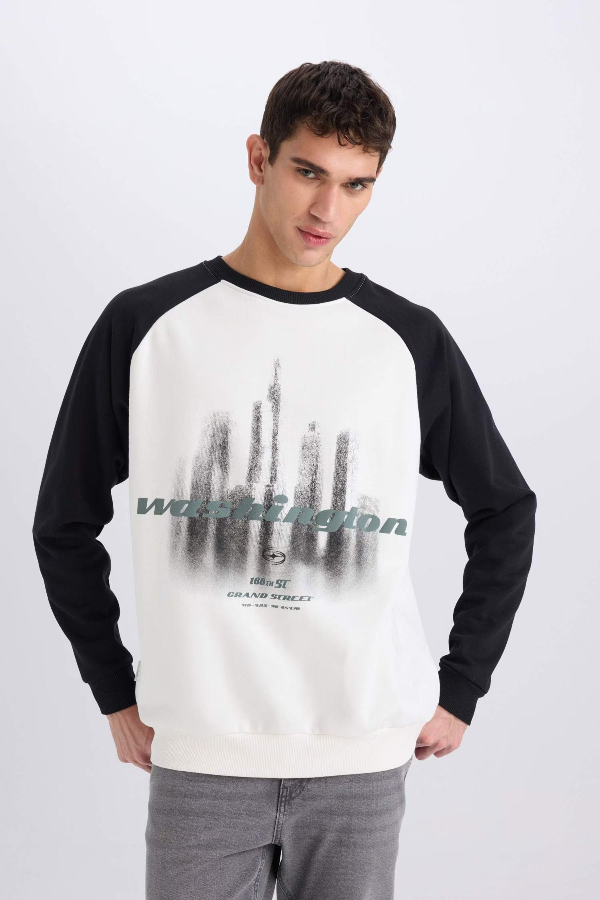 Resim Defacto Erkek  Sweat D6997AXER105