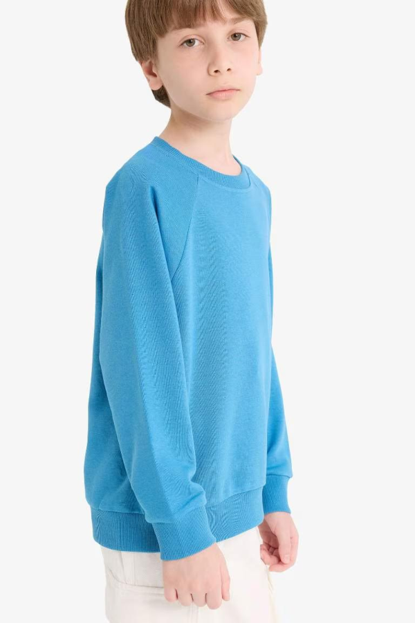 Resim Defacto Erkek Çocuk  Sweat E8415A8/BE278