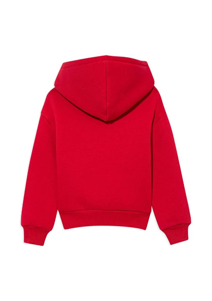 Resim Mavi Baskılı Kapüşonlu Erkek Çocuk Sweat M6610110-70464