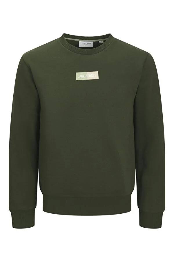 Resim Jack & Jones Jjpan Sweat Crew Neck Erkek Sweat 12278617