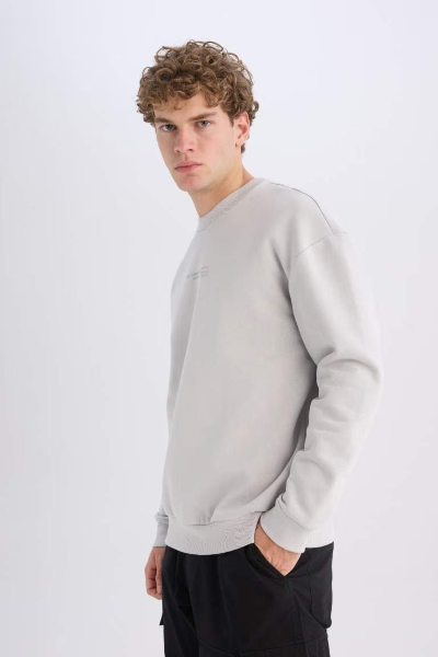 Resim Defacto Erkek  Sweat X8282AZ/GR184