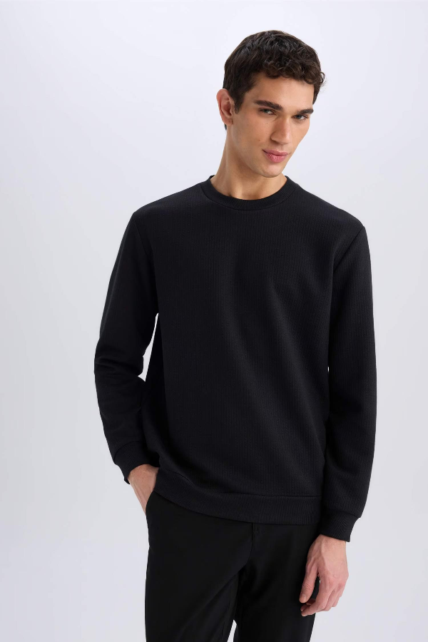 Resim Defacto Erkek  Sweat D7231AX/BK81