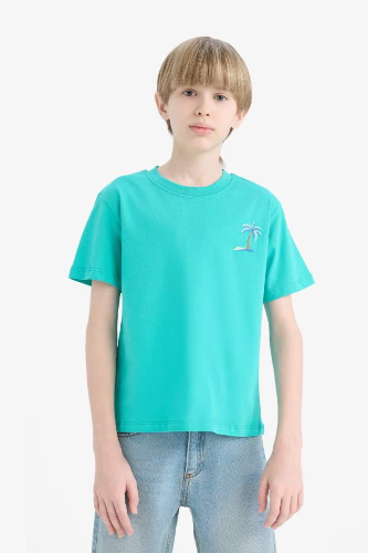 Resim Defacto Erkek Çocuk Kısa Kol T-shirt E0087A8GN1151