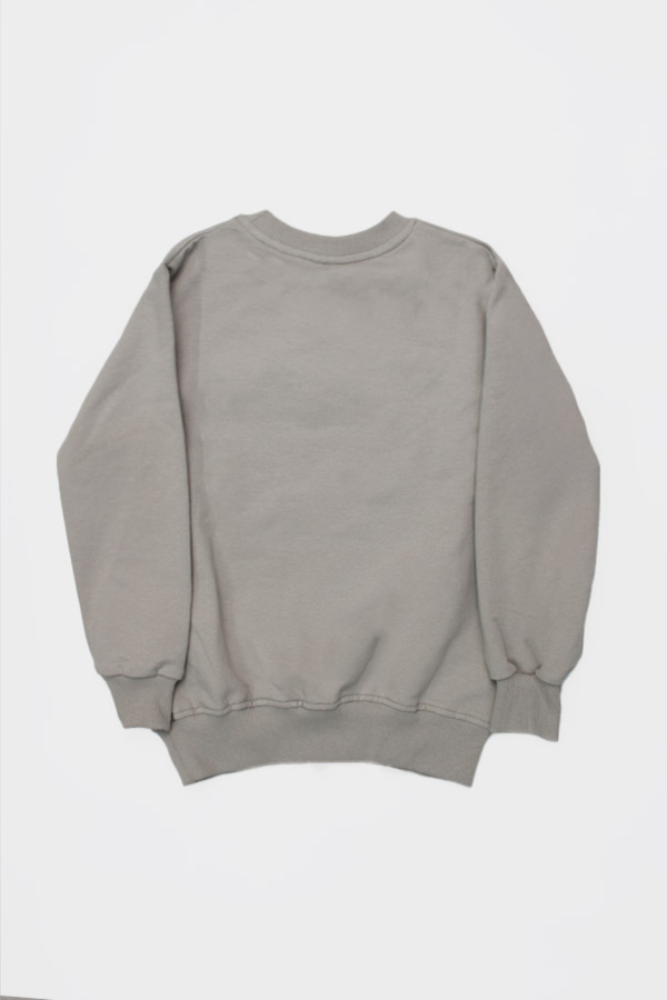 Resim Yenikoza Erkek Çocuk Sweat