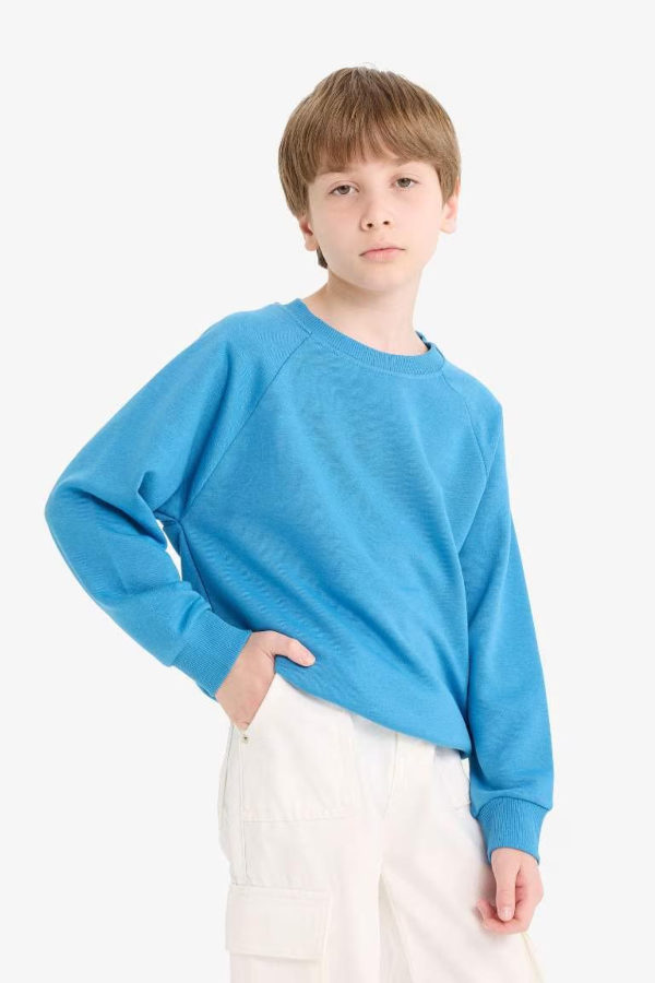 Resim Defacto Erkek Çocuk  Sweat E8415A8/BE278
