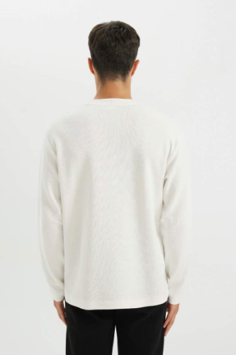 Resim Defacto Erkek Sweat