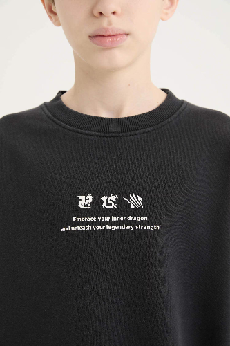 Resim Defacto Erkek Çocuk  Sweat D8494A8BK81