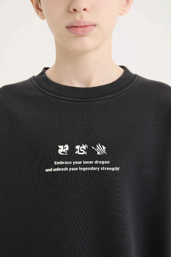Resim Defacto Erkek Çocuk  Sweat D8494A8BK81