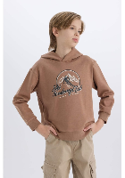 Resim Defacto Erkek Çocuk  Sweat D6219A8/BN554