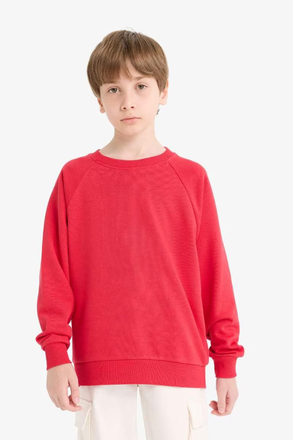 Resim Defacto Erkek Çocuk  Sweat E8415A8/RD282