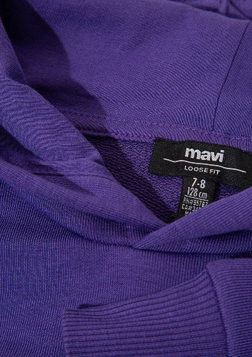Resim Mavi Baskılı Kapüşonlu Erkek Çocuk Sweat M6S10113-70692