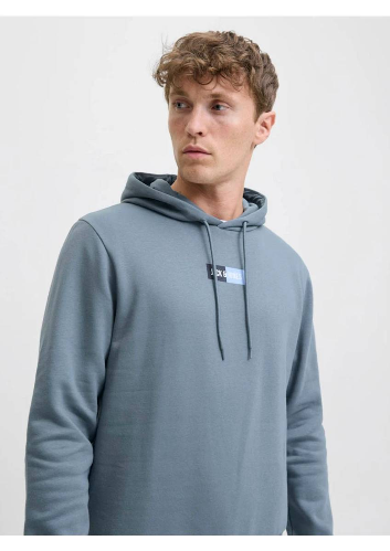 Resim Jack & Jones Jjpan Sweat Hood Erkek Sweat 12278618