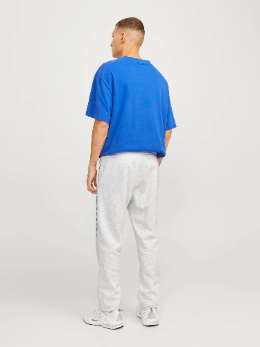 Resim Jack & Jones Erkek Kanvas Pantolon