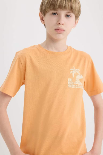 Resim Defacto Erkek Çocuk Kısa Kol T-shirt E0167A8OG306