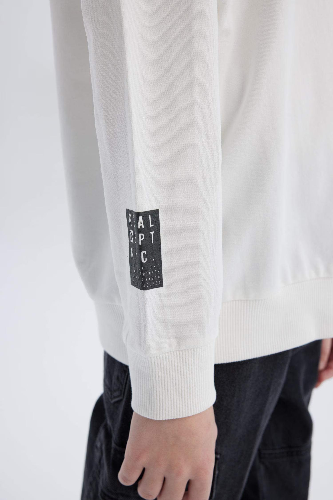 Resim Defacto Erkek Çocuk  Sweat D8535A8WT32