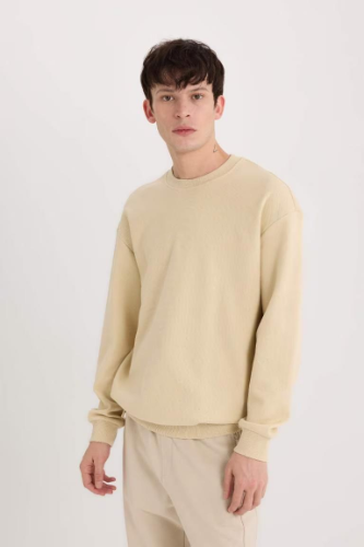 Resim Defacto Erkek  Sweat E1519AX/BG155
