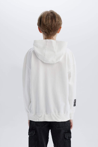 Resim Defacto Erkek Çocuk  Sweat D8535A8WT32
