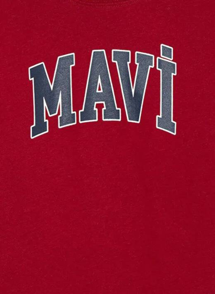 Resim Mavi Logo Baskılı Erkek Çocuk T-Shirt M6610030-70692