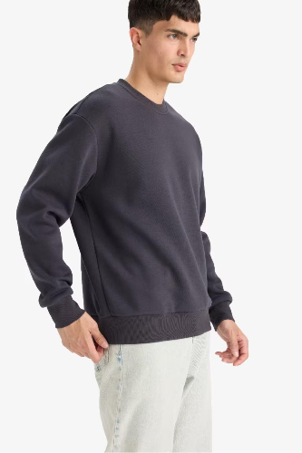 Resim Defacto Erkek  Sweat T5139AZ/AR138