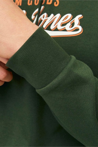 Resim Jack & Jones Jjelogo Sweat Hood 2 Col 24/25 Noos Erkek Sweat 12255617