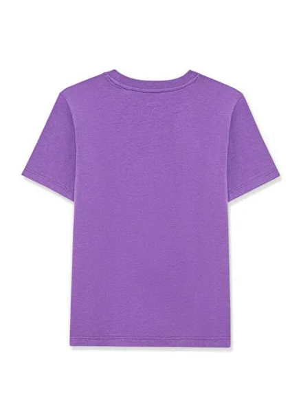 Resim Mavi Baskılı Logo Erkek Çocuk T-Shirt M6610286-82491