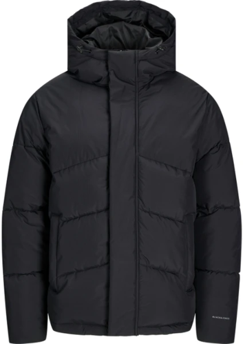 Resim Jack & Jones Jjworld Puffer Jacket Erkek Mont 12259850