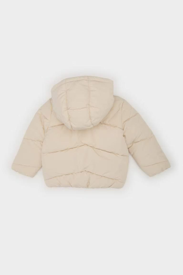 Resim U.S. Polo Assn. Erkek Çocuk Sweat 1946220 Leduckıds
