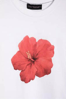 Resim QUZU Kadın T-shirt