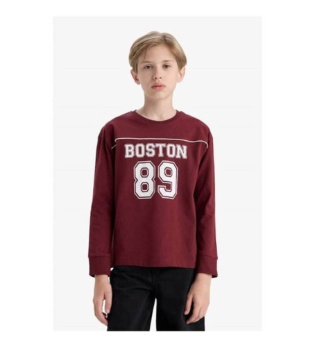 Resim Defacto Erkek Çocuk  Sweat F2714A8/BR194