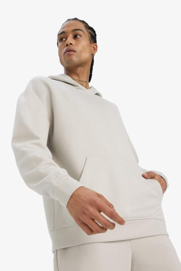 Resim Defacto Erkek  Sweat E9308AX/GR437