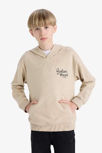 Resim Defacto Erkek Çocuk  Sweat E9582A8/BG737