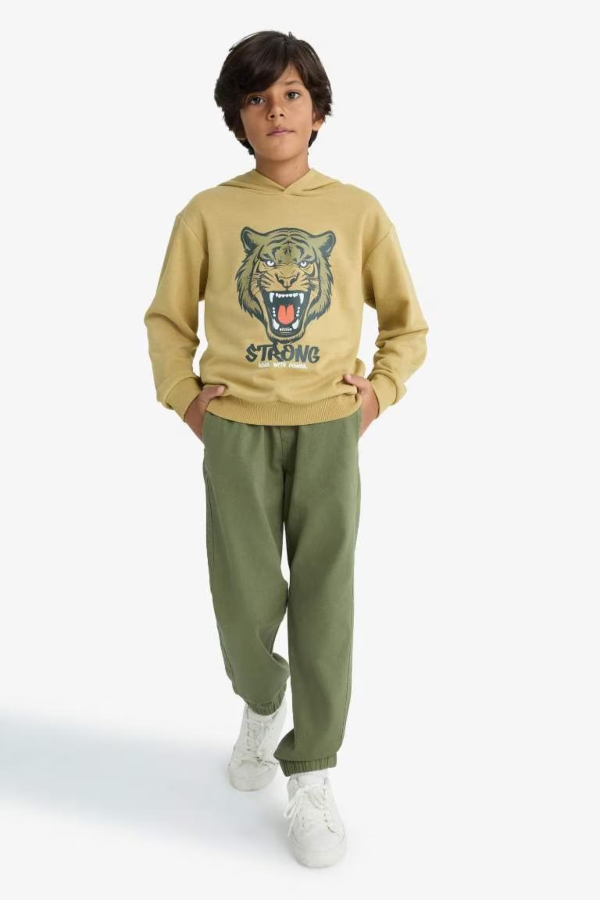 Resim Defacto Erkek Çocuk  Sweat F2859A8/KH258