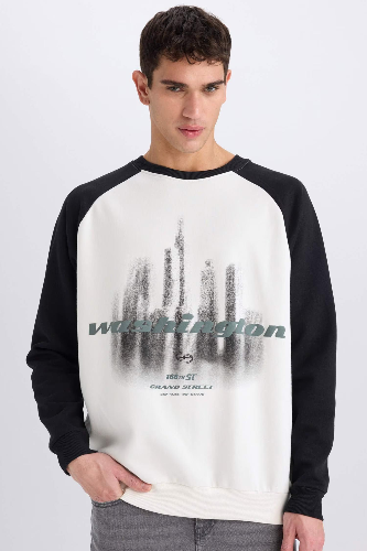 Resim Defacto Erkek  Sweat D6997AXER105