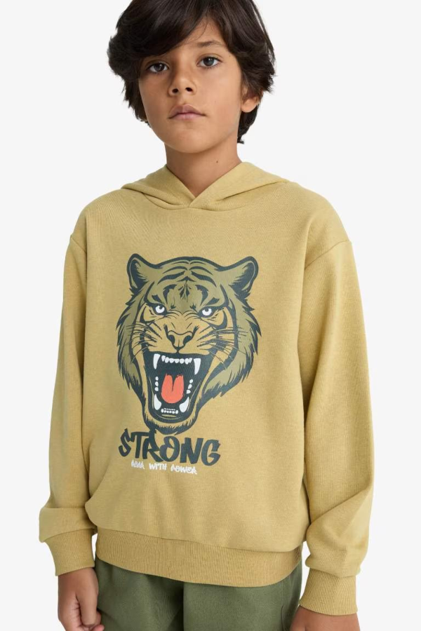 Resim Defacto Erkek Çocuk  Sweat F2859A8/KH258