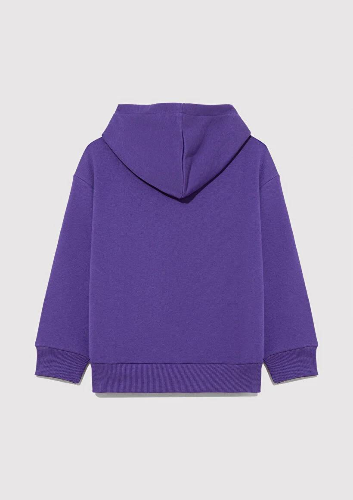 Resim Mavi Baskılı Kapüşonlu Erkek Çocuk Sweat M6S10113-70692