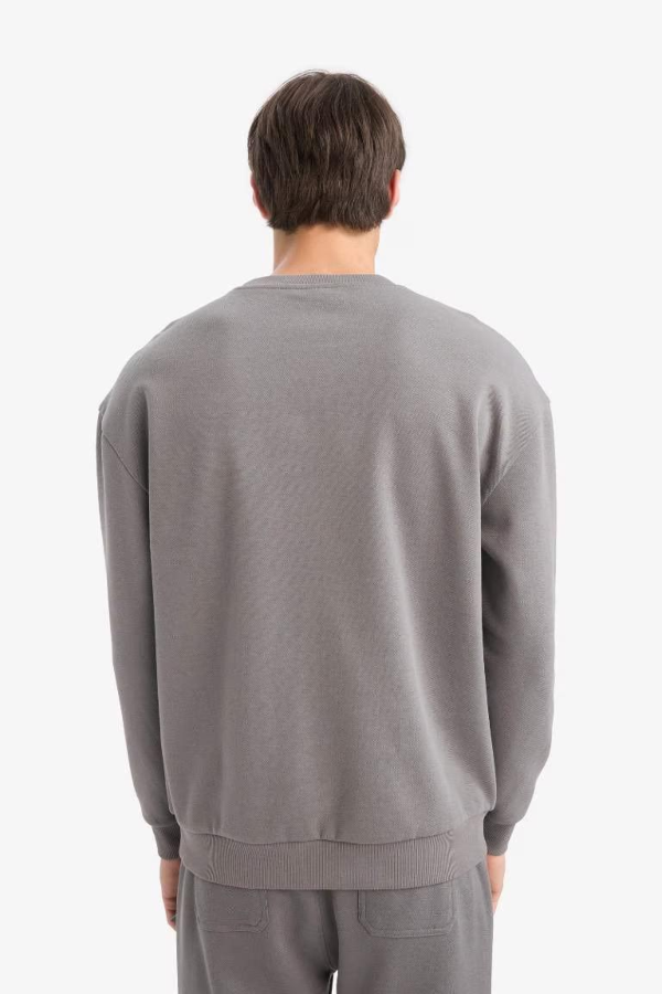 Resim Defacto Erkek  Sweat E1519AX/GR206
