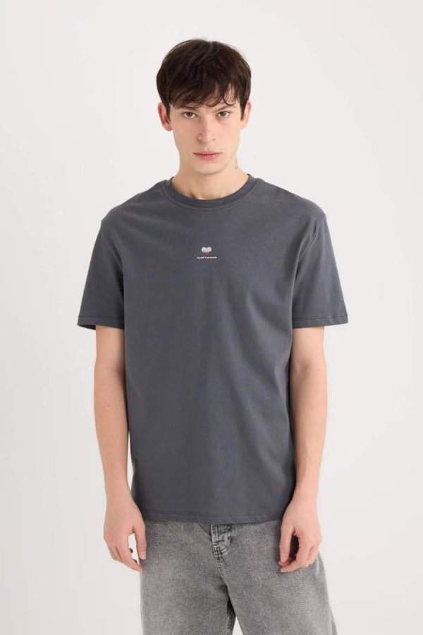 Resim Defacto Erkek  T-shirt D5156AX/AR104