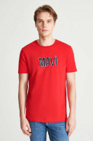 Resim Mavi Erkek T-shirt