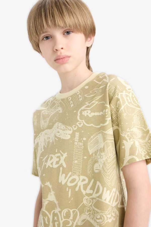 Resim Defacto Erkek Çocuk Kısa Kol T-shirt D9290A8KH445