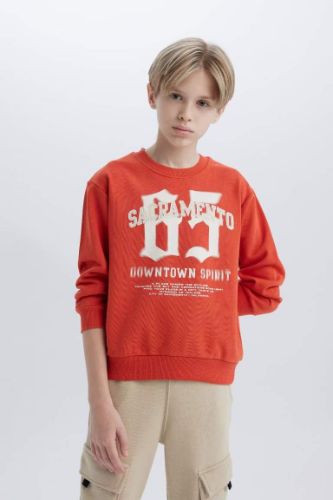 Resim Defacto Erkek Çocuk  Sweat D7712A8/OG605