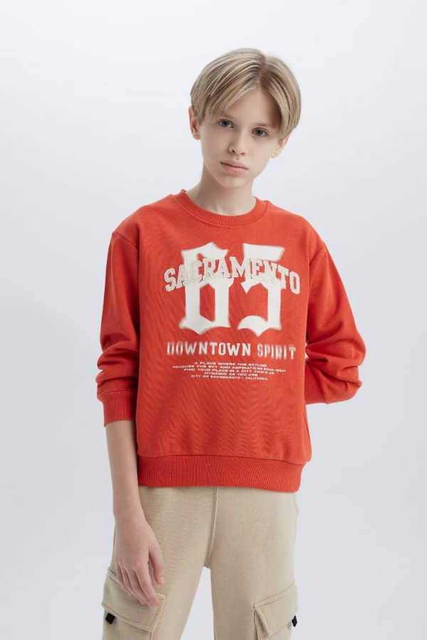 Resim Defacto Erkek Çocuk  Sweat D7712A8/OG605