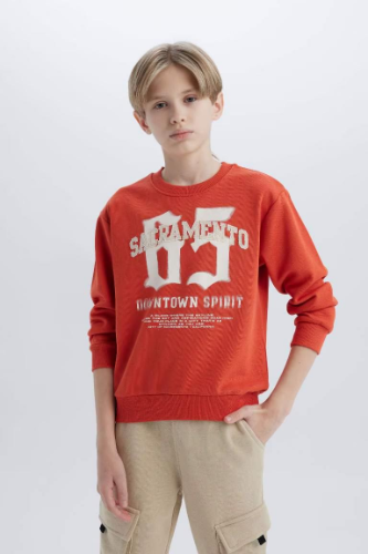 Resim Defacto Erkek Çocuk  Sweat D7712A8/OG605