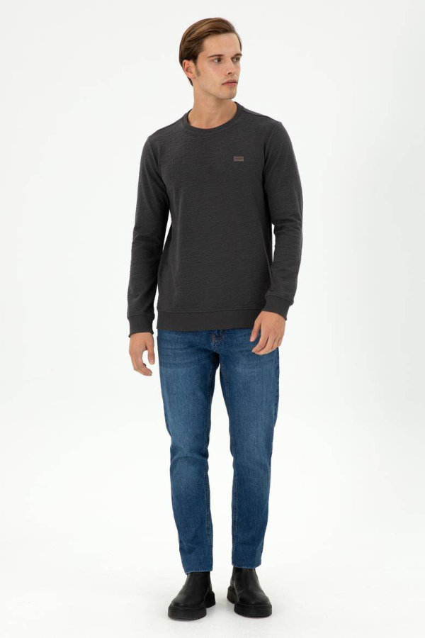 Resim 1945735 Burnaby U.S Polo Assn. Erkek Sweat