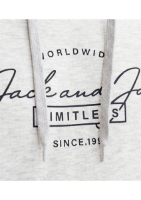 Resim Jack & Jones Erkek Sweat
